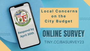 Online Budget Survey