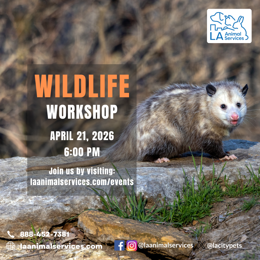 Wildlife Workshop 04/21
