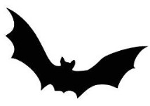 Beware of Bats